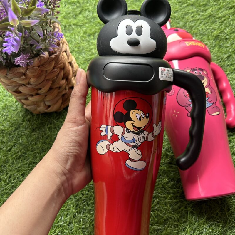 Disney stainless steel tumblers