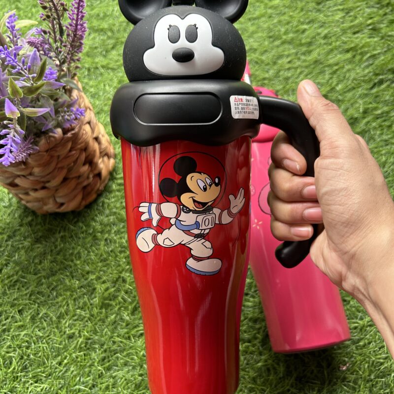 Disney stainless steel tumblers