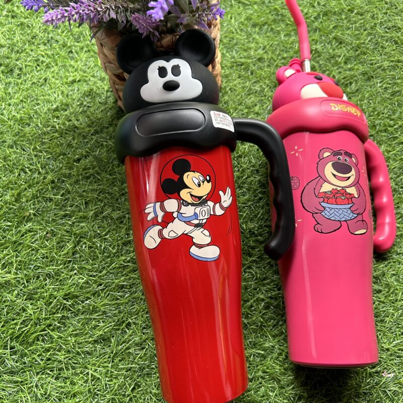 Disney stainless steel tumblers