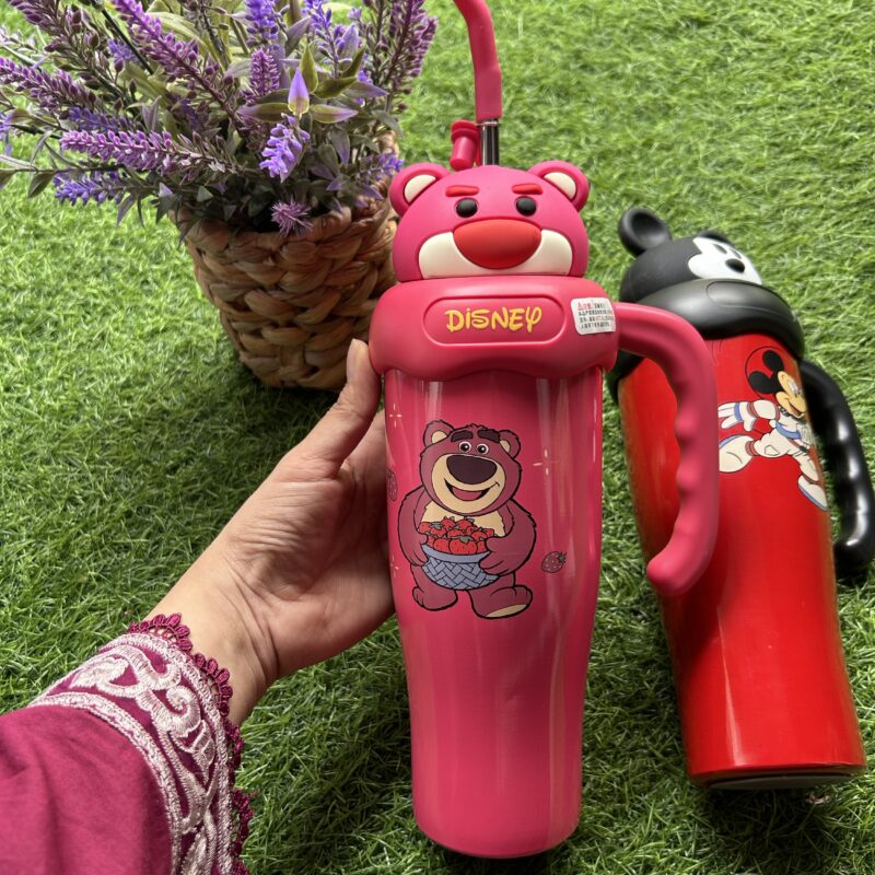 Disney stainless steel tumblers