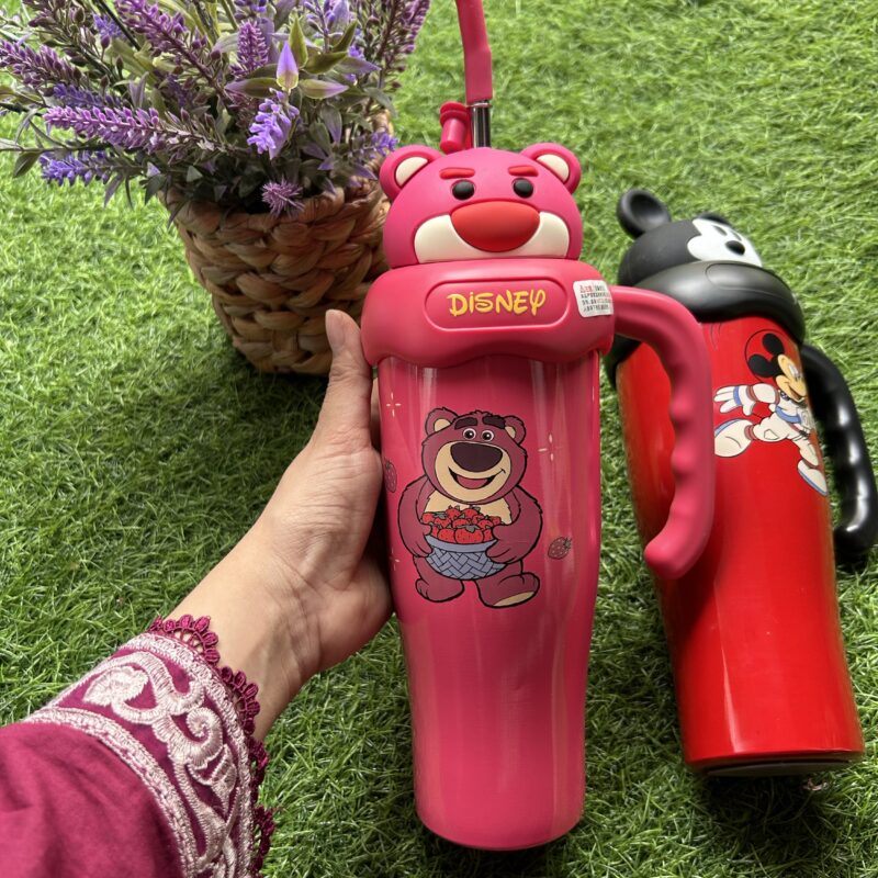 Disney stainless steel tumblers