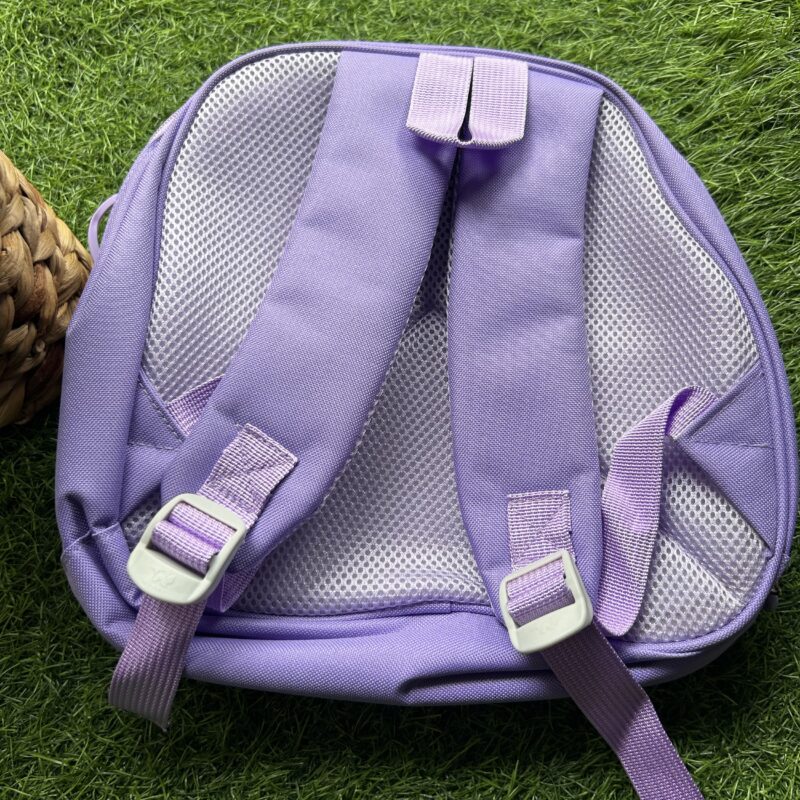 Camera backpack