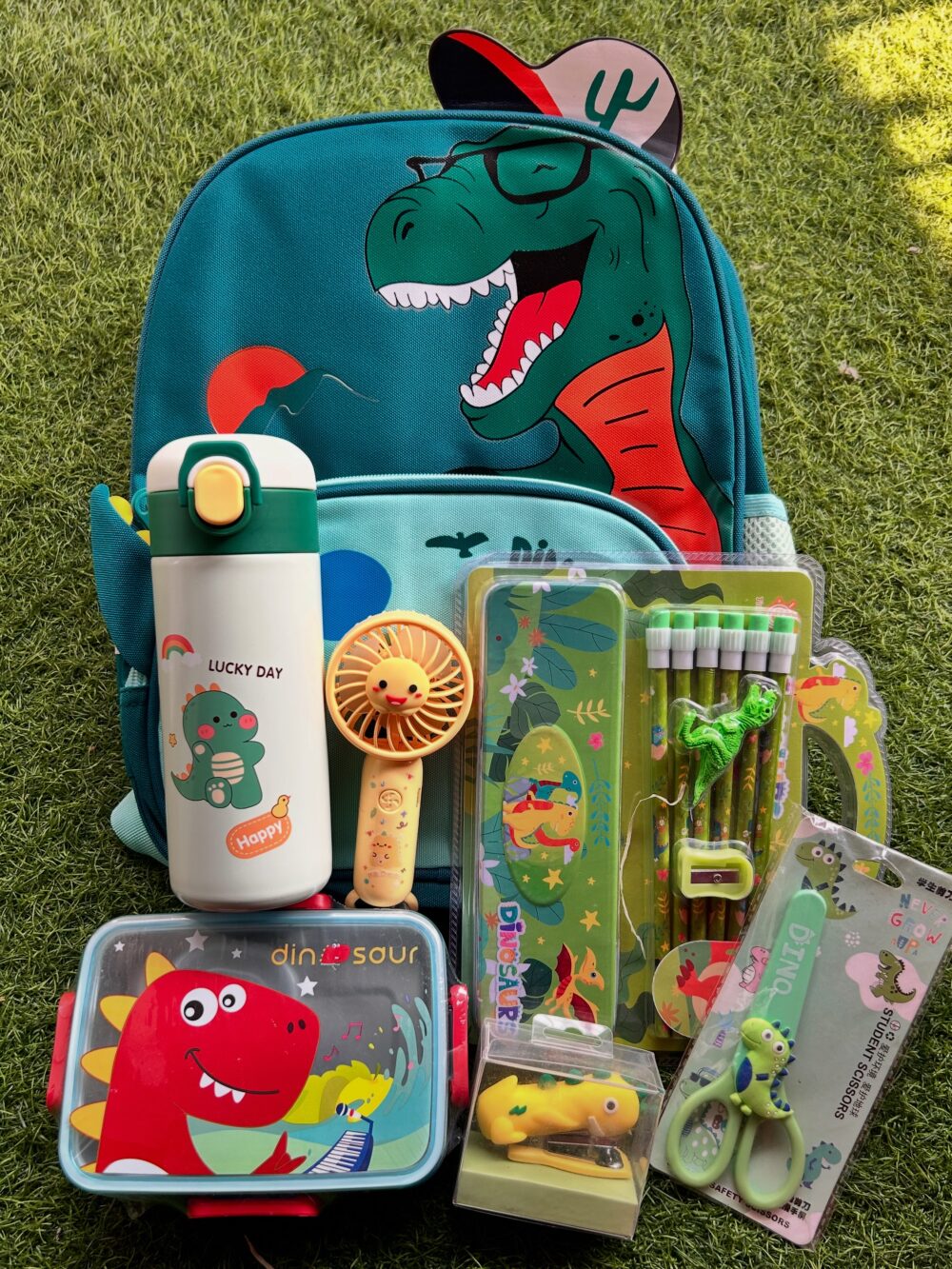 25ed2754-9bcc-47e8-9aff-cc85721daf22 Dinosaur bag combo