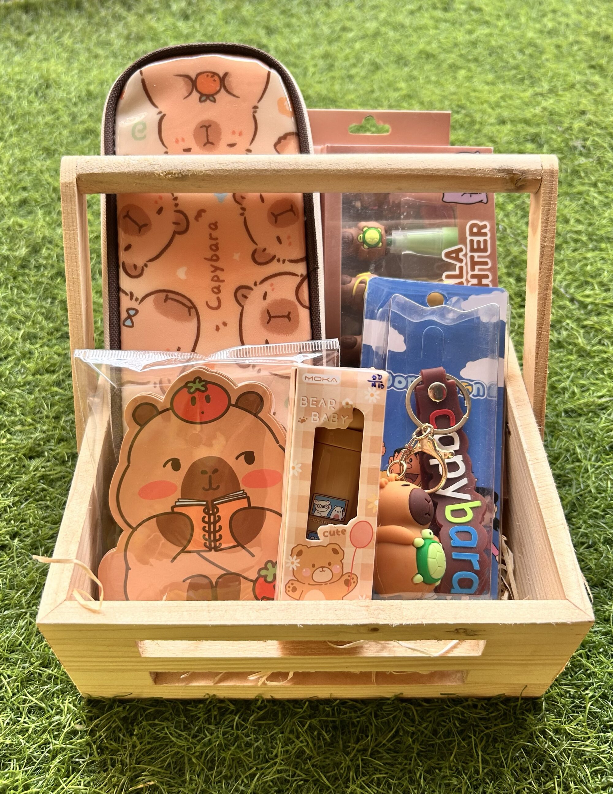 CAPYBARA GIFT BASKET