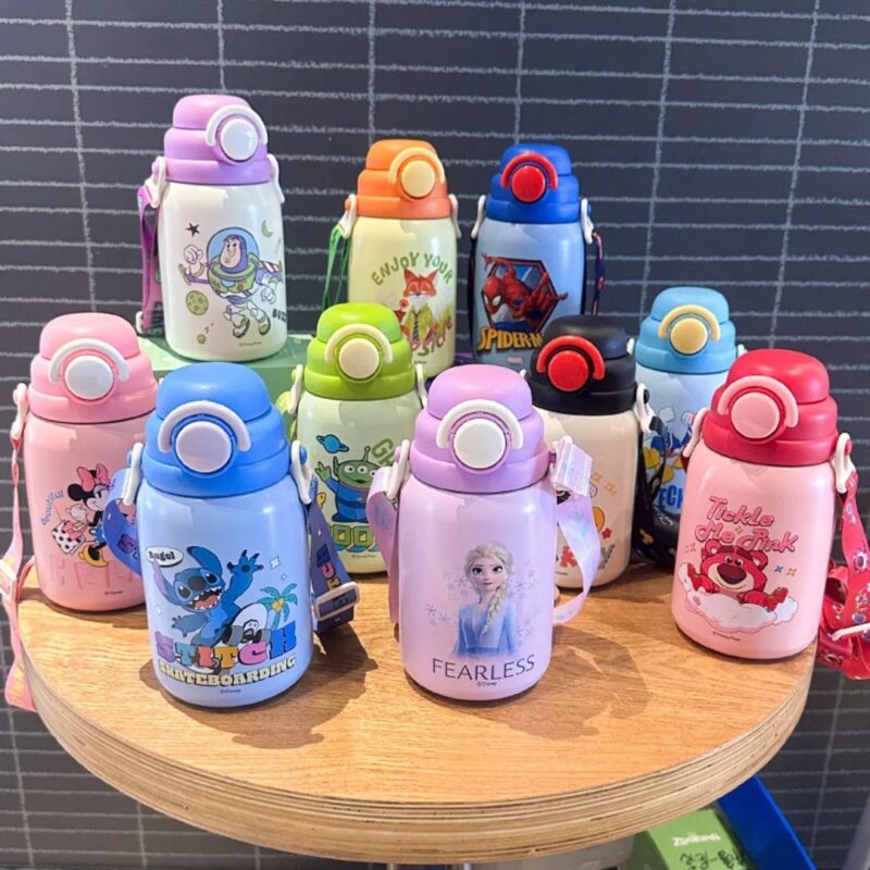 Disney Insulated water bottle